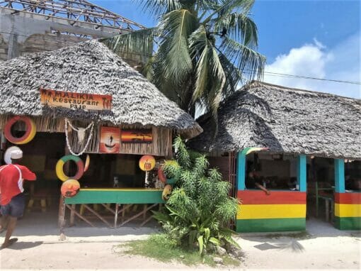 Tansania: Sansibar Aktivreise 14 Tage