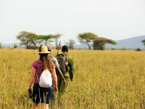 Tansania: Walking Safari 10 Tage