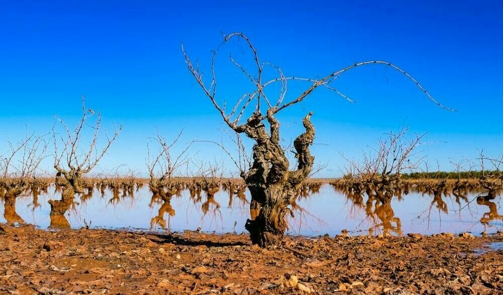 Spanien_Pilgerweg_Andrè_Schumacher_Klueger_Reisen