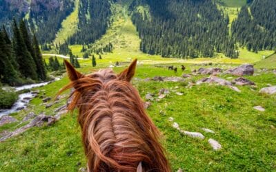Kirgistan_reiten_in_Kirgistan_Klueger_Reisen