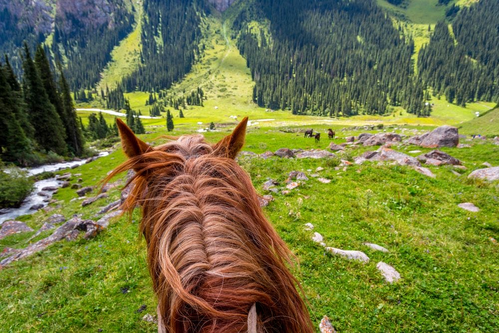 Kirgistan_reiten_in_Kirgistan_Klueger_Reisen