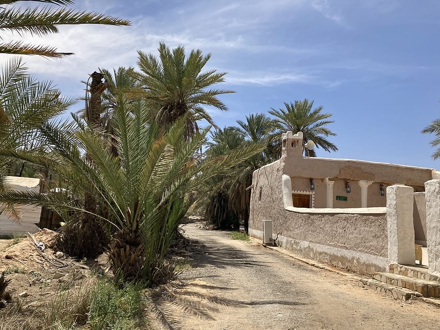 Saudi_Arabien_Oasenstadt_Buraidah_Rundreise_Klueger_Reisen Saudi_Arabien_Oasenstadt_Buraidah_Rundreise_Klueger_Reisen