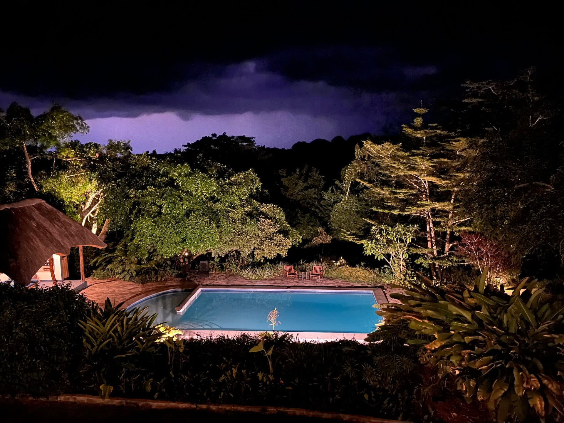 Uganda_Foto 5_Turaco