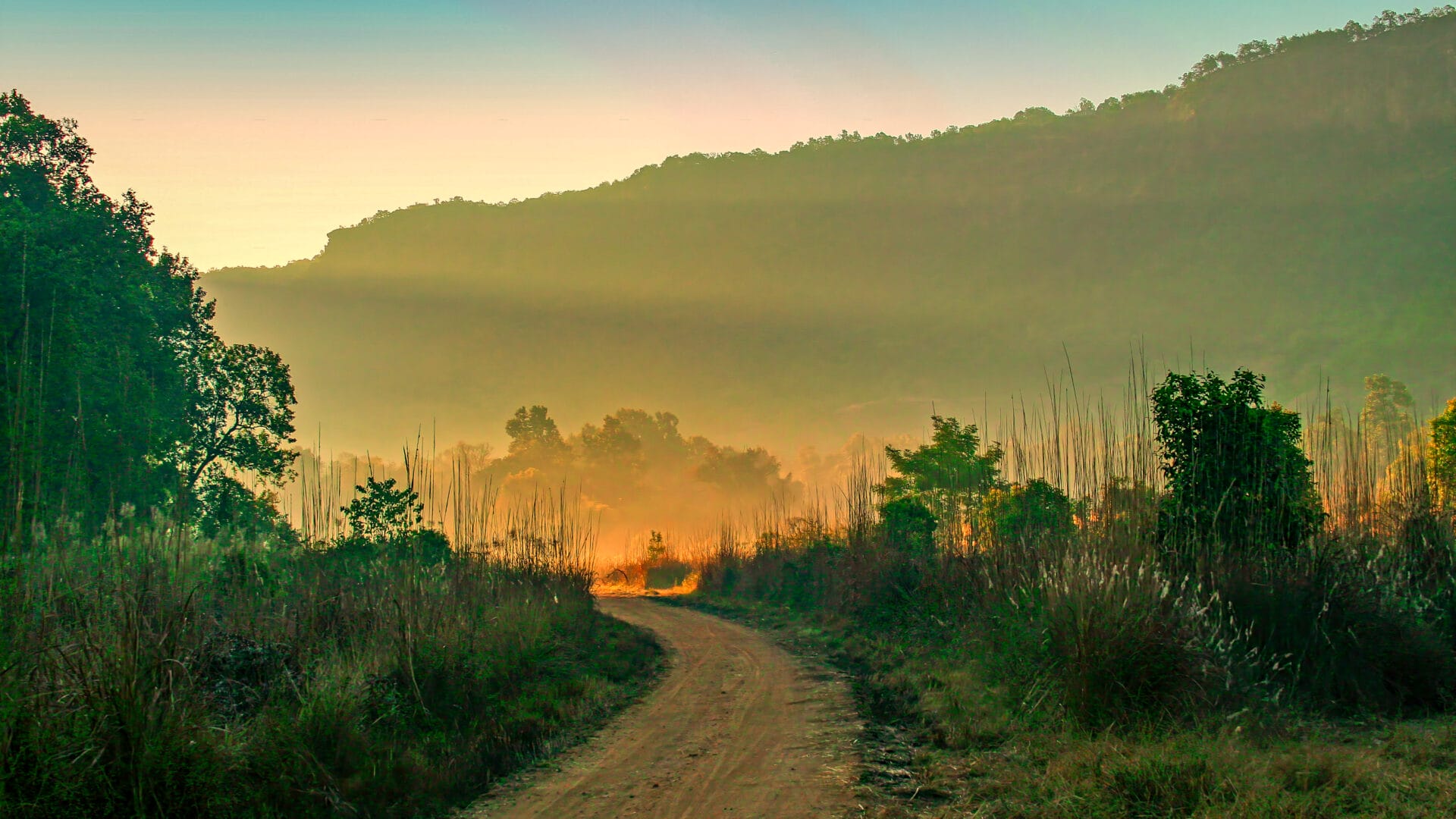 Indien_Bandhavgarh Nationalpark_Fotoreise_Klueger_Reisen_Martin_Buschmann