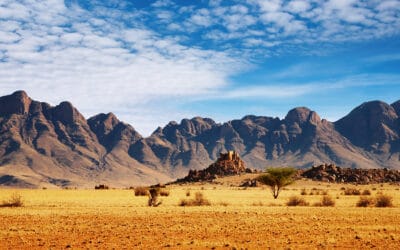 Namibia_Namib_Klueger_Reisen