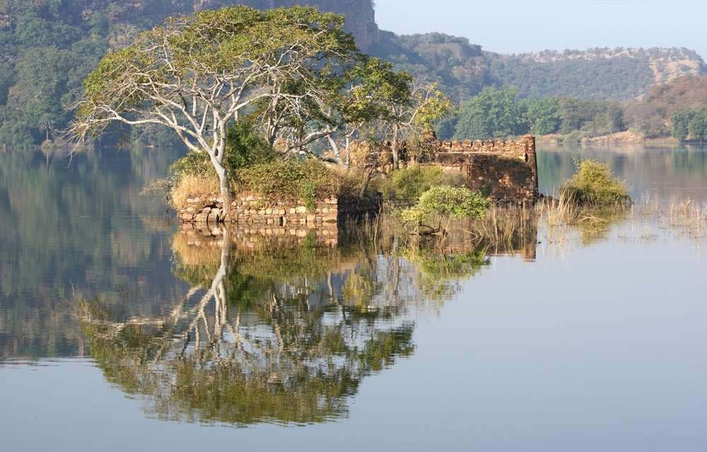 Ranthambore_Indien_Klueger_Reisen